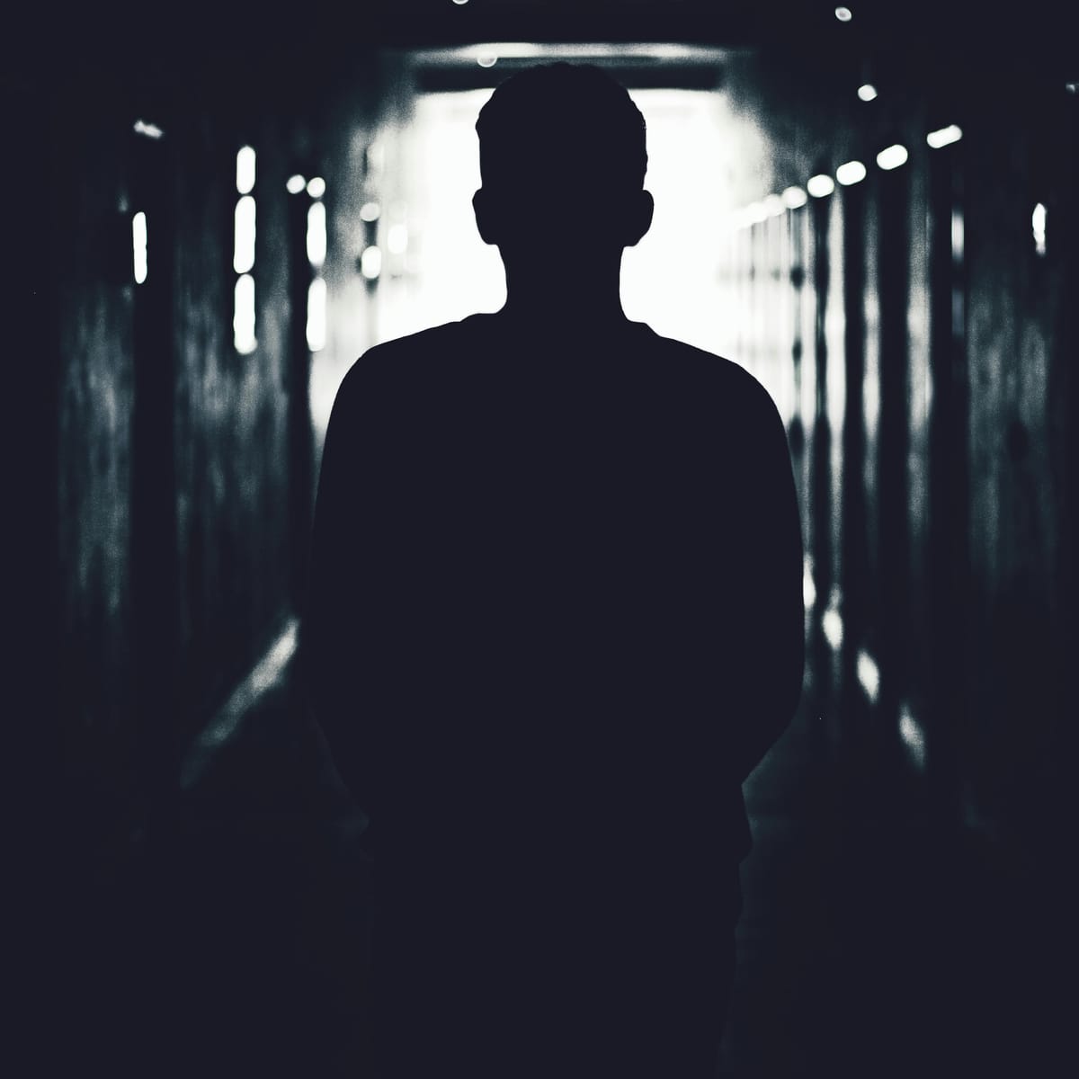 Fajar Rahman avatar